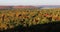 4K UltraHD Algonquin forest in autumn