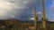 4K UltraHD Timelapse at dusk in Tucson Mountain Park