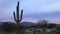 4K UltraHD Timelapse at sunset of the Sonoran Desert