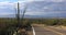 4K UltraHD View of roadside in Tucson Mountain Park