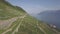 4K ungraded Aerial footage of Vineyard fields in Terrasses de Lavaux near Lausanne in Switzerland - UHD