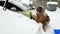 4k video of 3 years old toddler boy helping cleaning car covered in snow after snowstorm