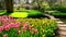 4k video cinematic footage at spring time tulip festival in Netherlands Park