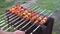 4k video cooking fry shish kebab,BBQ, barbecue, shashlik or meat on coals. Cooking meat in the grill on skewers in nature in the s