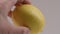 4K video of hand of woman holding fresh lemon and moving it