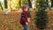 4k video of little toddler boy holding yellow leaves walking between trees at autumn park