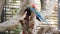 4k video of macaw parrots couple sitting on tree branch and taking care of each other. Birds cleaning their feather and