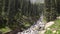 4K video of rapid stream in mountain fir tree forest. Kyrgyzstan