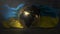 4k Video Ukraine Flag and Globe, ProRes 4444