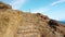 4K video walk on stone stairs on Madeira island, Portugal. From the cliffs is a beautiful view of the ocean waves. It is