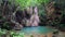 4K Video, Wang Tong Waterfall located in Buatong Waterfall and Chet Si Fountain National Park, Chiang Mai, Thailand