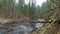 4K. Wild river flows in the deep forest in early spring, panoramic view