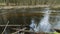 4K. Wild river flows in the deep forest in early spring, panoramic view