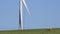 4K wind turbine against blue sky with sheep on grass UK