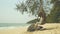 4K. woman feel relax, playing swing under the tree on the beach in leisure time during the summer holiday vacation