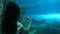 4k, Woman pictures with smartphone a Giant manta ray underwater at aquarium