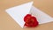 4k zoom in out Beautiful red roses flowers in postal envelope on neutral beige background, copy space for text, spring