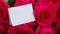 4k zoom in out Pink roses and white empty paper note. Holiday Mock up. Valentines day, Mothers Womens day. Invitation