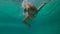 4x times slowmotion shot of a cute little boy diving into pool holding two pebbles under water in his hands