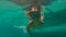 4x times slowmotion shot of a cute little boy diving into pool holding two pebbles under water in his hands