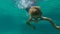 4x times slowmotion shot of a cute little boy diving into pool and knocking to pebbles under water