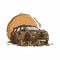 4x4 offroad car in mud vector illustration logo by carp studio