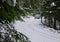 4x4 truck drifting on winter snow road in forest