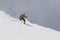 5.01.2017 - AUSTRIA Male freeride skier in the mountains - austria