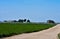 5-18-18 Alfalfa Crops in Lancaster, Ca.