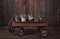 5 Adorable Kittens in a Rusty Wagon