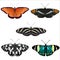 5 butterfly illustrations