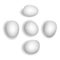 5 different photorealistic white chicken eggs. Vector illustration