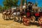 5-horse cart, left rear view, on the Horse Feria Feria de Caballo , Jerez de la Frontera, Andalusia, Spain, May 14, 2019