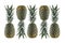 5 ripe pineapples lined up in a row isolated on white background. Creative pattern flatlay. Healthy vegetarian fat