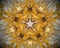 5 sided star abstract extrude mandala