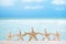 5 stars fish, white starfish with ocean, boat, white sand beach, sky and seascape