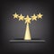 5 Stars Gold Trophy Award