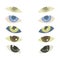 5 vector pairs of eyes with multicolored irises or lenses isolated on white background