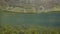 50/50 Over/Underwater Horned Wrack Seaweed Swaying Beside Old Harbour Wall, Dublin