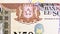 50 Shillings banknote, Bank of Somalia, closeup bill fragment shows Coat of Arms