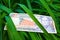 50 Venezuelan bolivares bank note on the leaves