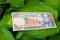 50 Venezuelan bolivares bank note on the leaves