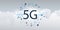 5G Network Label with Ring of  Icons Representing Various Kind of Devices and Services