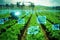 5G powered smart farming: sustainable crop production