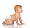 6 month infant child baby toddler sitting or crawling looking at