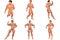 6 For The Price of 1! Body Builder 3D (with clipping paths)