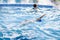 A 6-year boy swims backstroke in a swimming pool