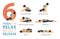 6 Yoga poses or asana posture for workout in relax reflect release  concept. Women exercising for body stretching. Fitness.