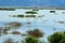 7/14/2020 Greece  Lake Carla in Magnesia, which dried up in 1962, came to life again. The wetland blossomed again.