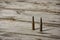 7,62 x 54 - two isolated rustic ammos on the wooden background